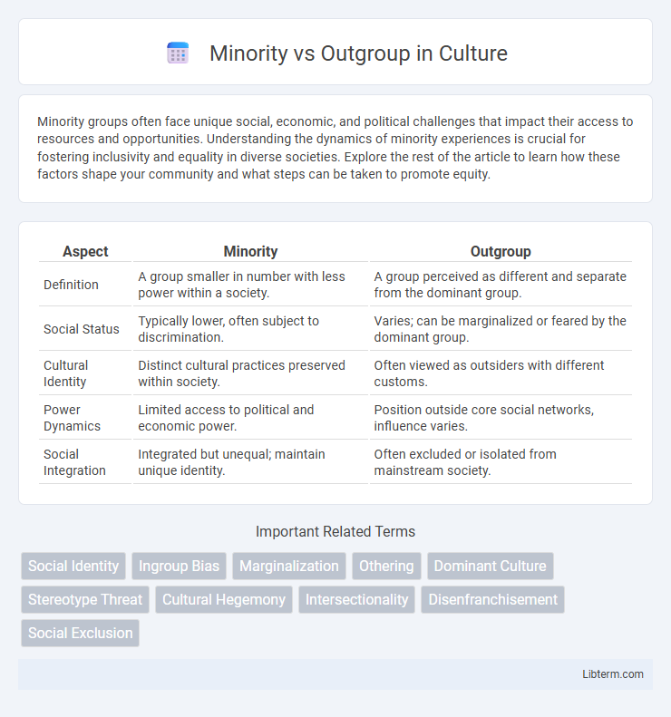 Outgroup vs Minority in Culture - What is The Difference?