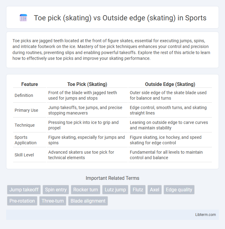 Outside edge (skating) vs Toe pick (skating) in Sports - What is The Difference?
