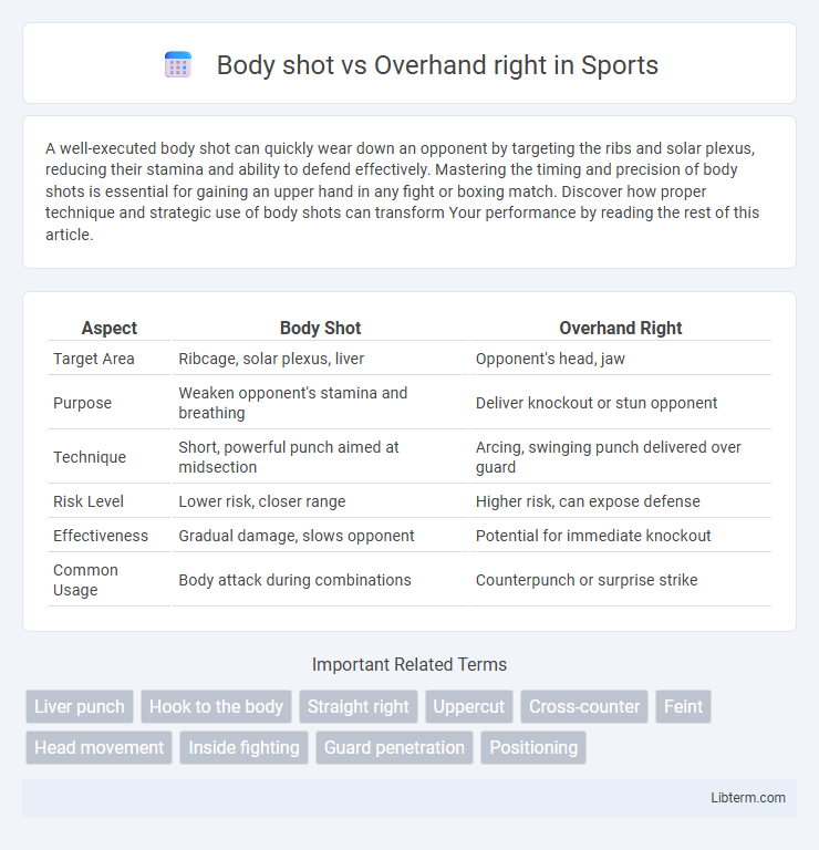 Overhand right vs Body shot in Sports - What is The Difference?