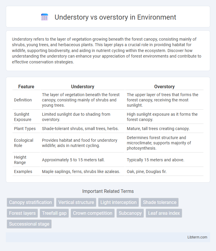 overstory vs Understory in Environment - What is The Difference?