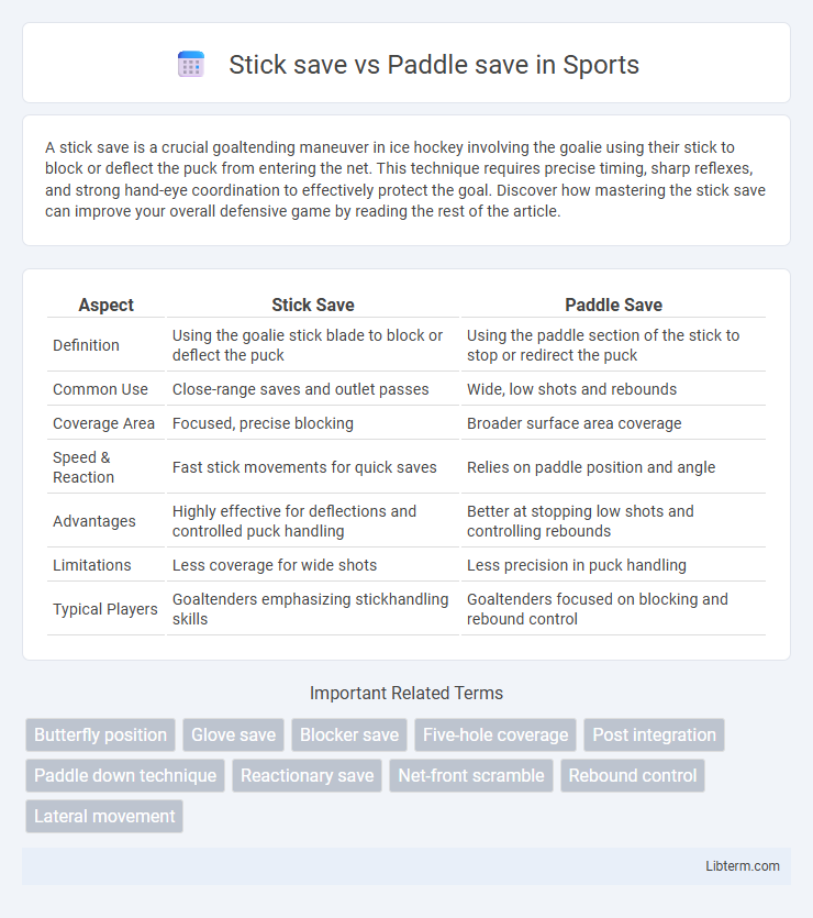 Paddle save vs Stick save in Sports - What is The Difference?