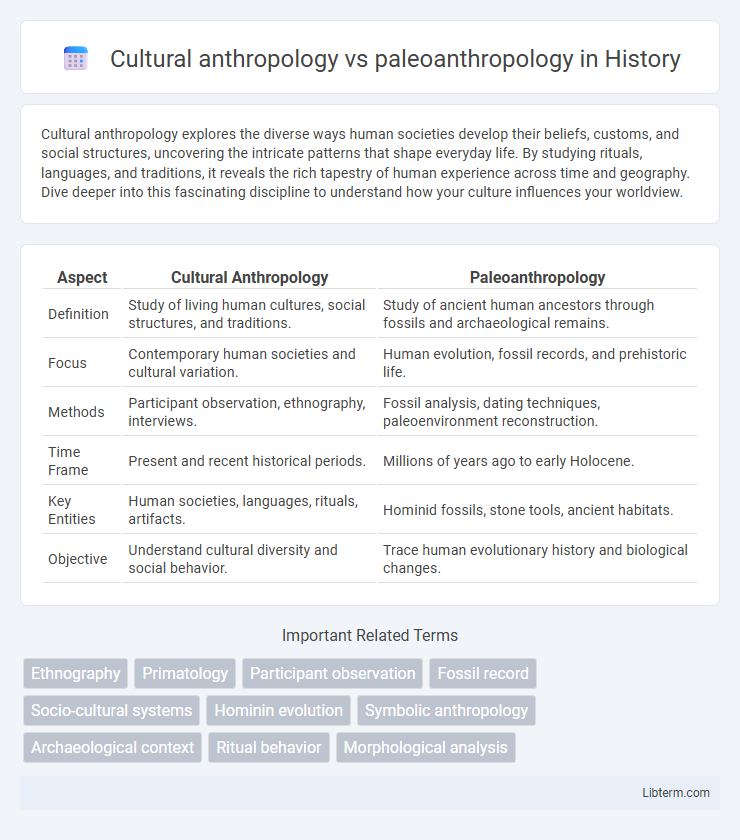 paleoanthropology vs Cultural anthropology in History - What is The Difference?