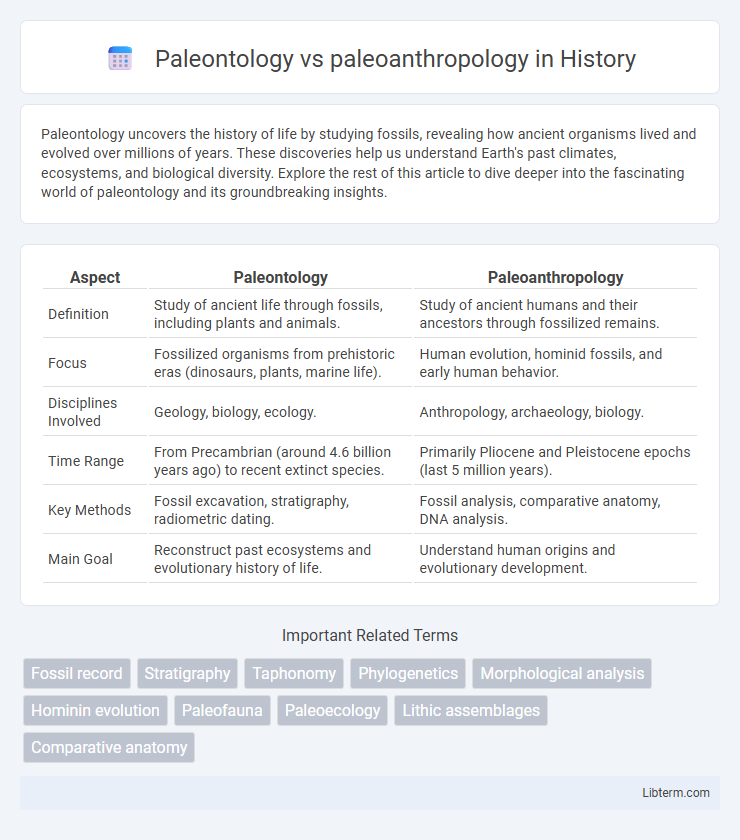 paleoanthropology vs Paleontology in History - What is The Difference?