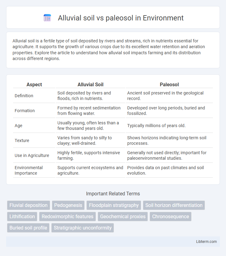 paleosol vs Alluvial soil in Environment - What is The Difference?