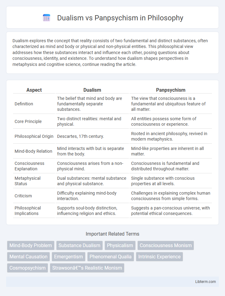 Panpsychism vs Dualism in Philosophy - What is The Difference?