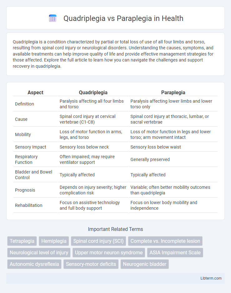Paraplegia vs Quadriplegia in Health - What is The Difference?