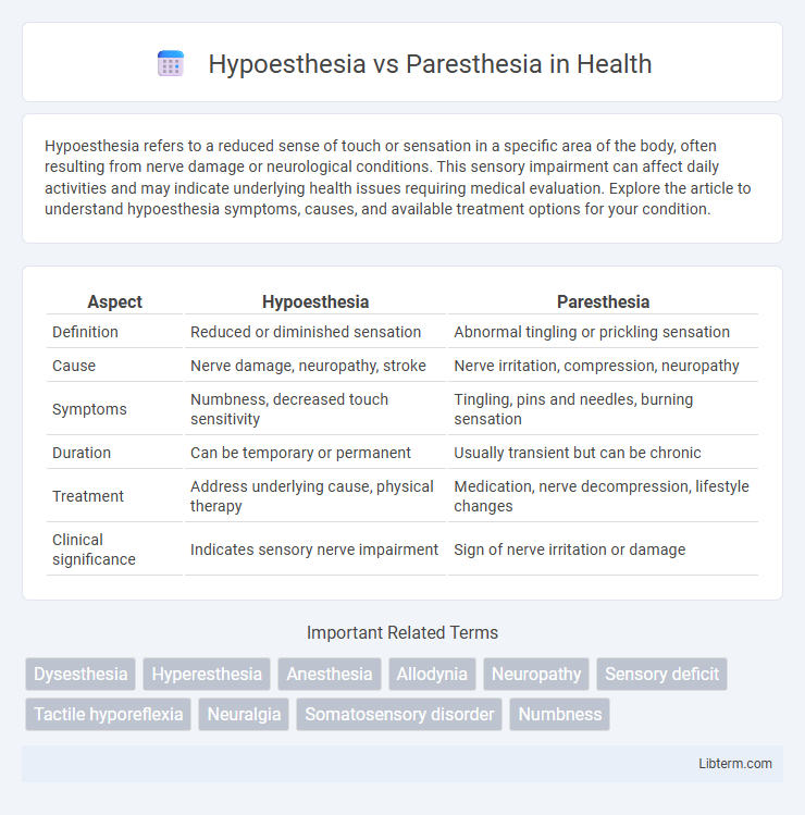 Paresthesia vs Hypoesthesia in Health - What is The Difference?