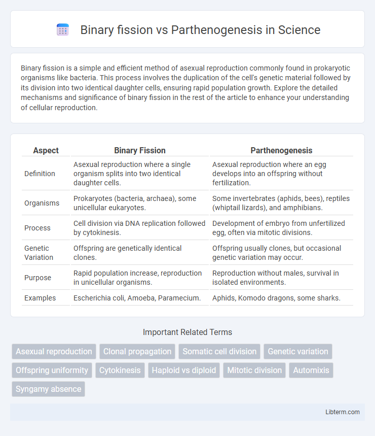 Parthenogenesis vs Binary fission in Science - What is The Difference?