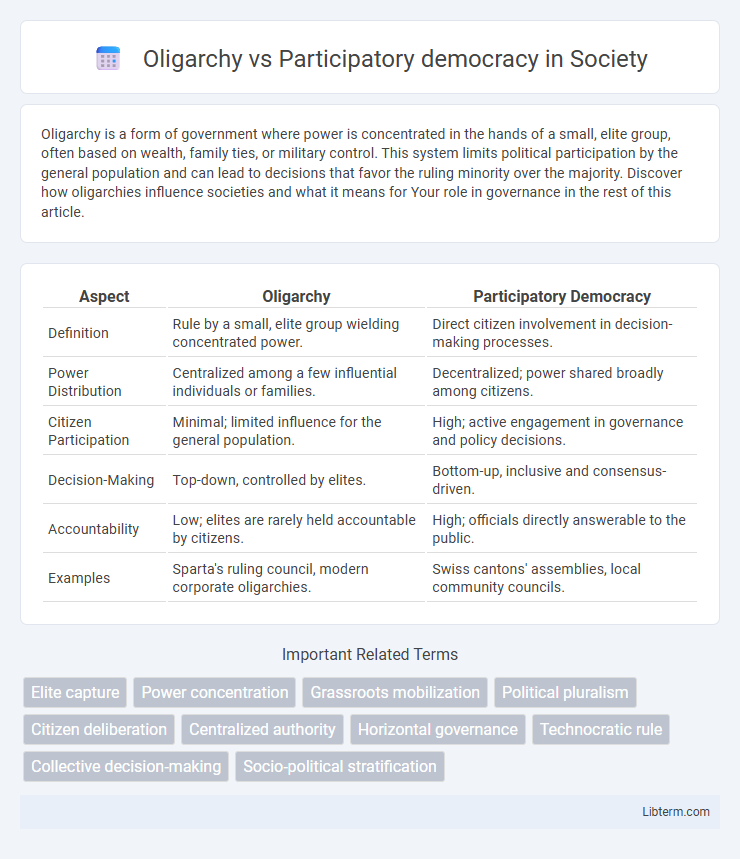 Participatory democracy vs Oligarchy in Society - What is The Difference?