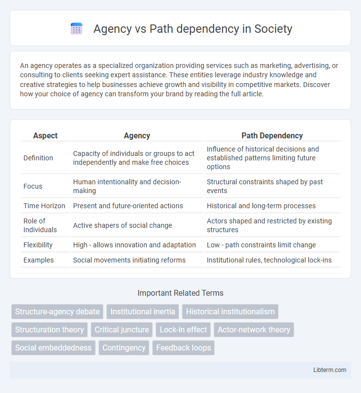 Path dependency vs Agency in Society - What is The Difference?