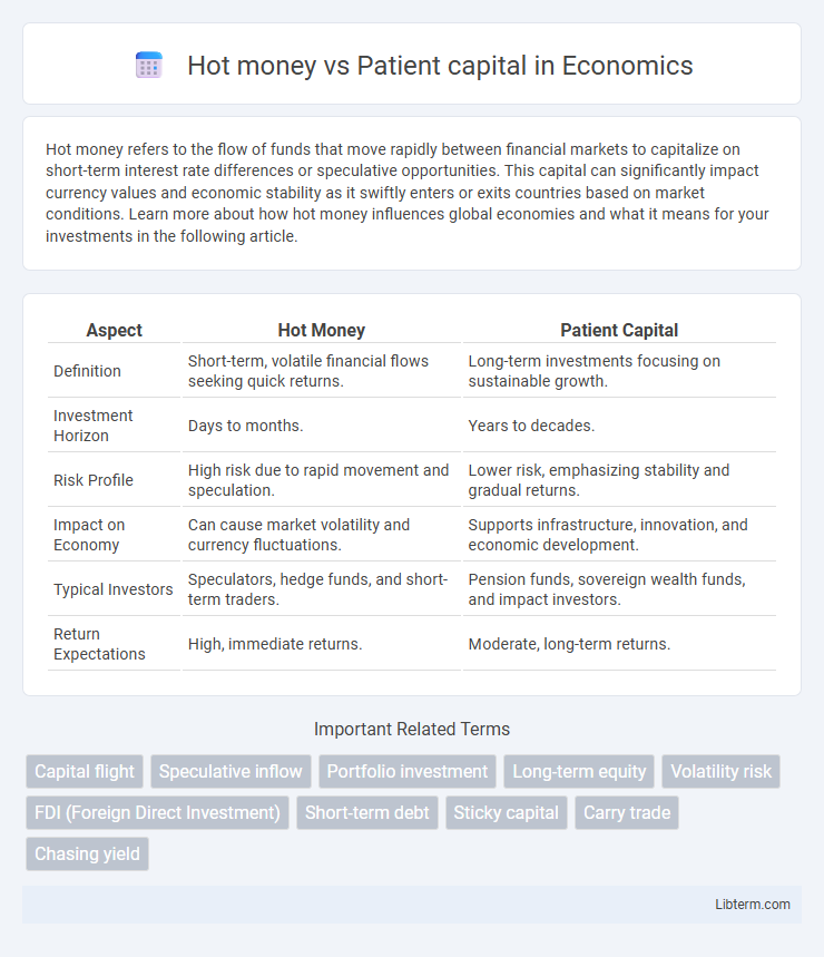 Patient capital vs Hot money in Economics - What is The Difference?