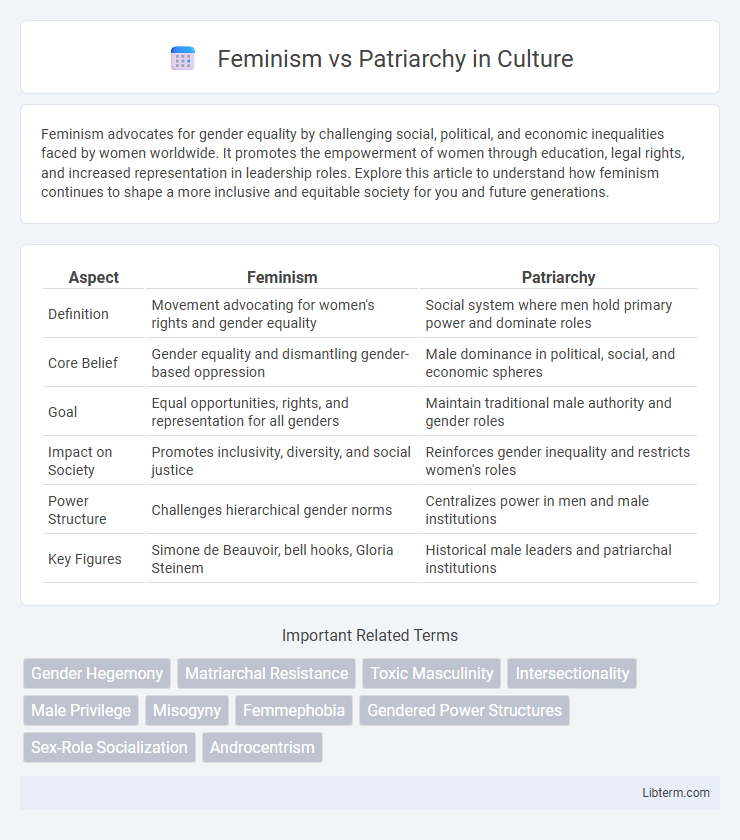 Patriarchy vs Feminism in Culture - What is The Difference?