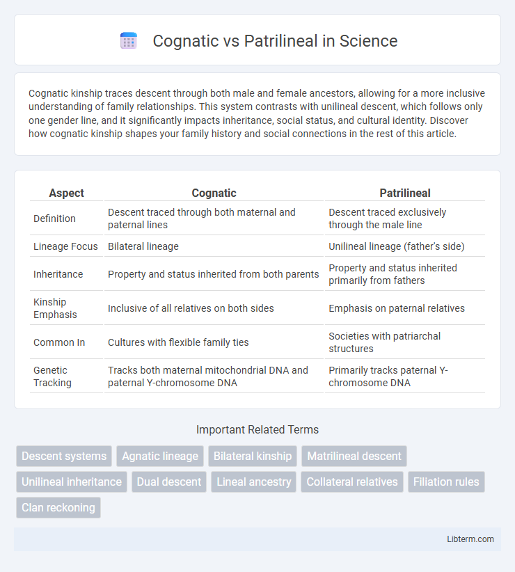 Patrilineal vs Cognatic in Science - What is The Difference?