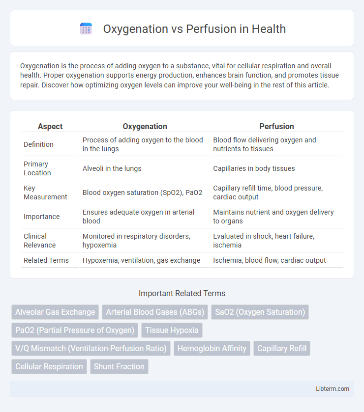 Perfusion vs Oxygenation in Health - What is The Difference?