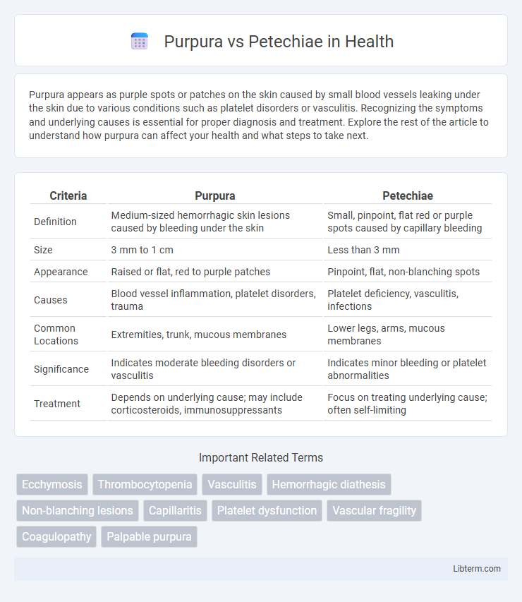 Petechiae vs Purpura in Health - What is The Difference?