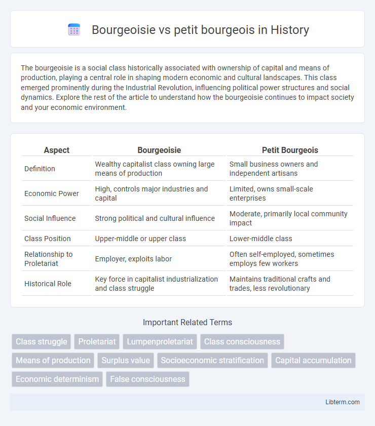 petit bourgeois vs Bourgeoisie in History - What is The Difference?