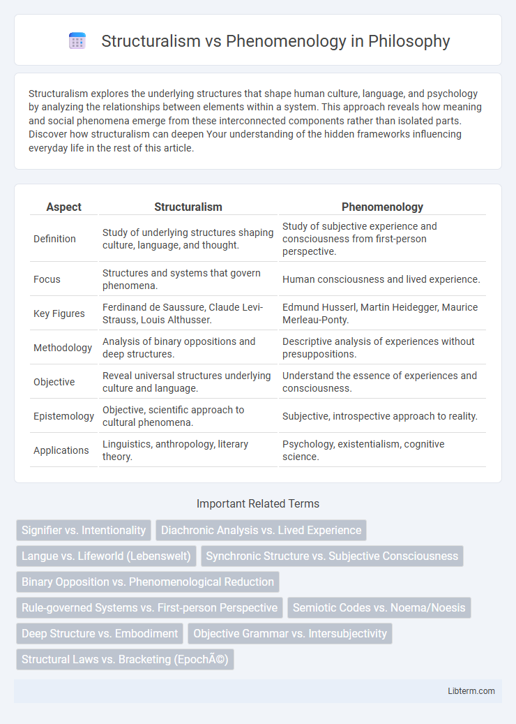 Phenomenology vs Structuralism in Philosophy - What is The Difference?