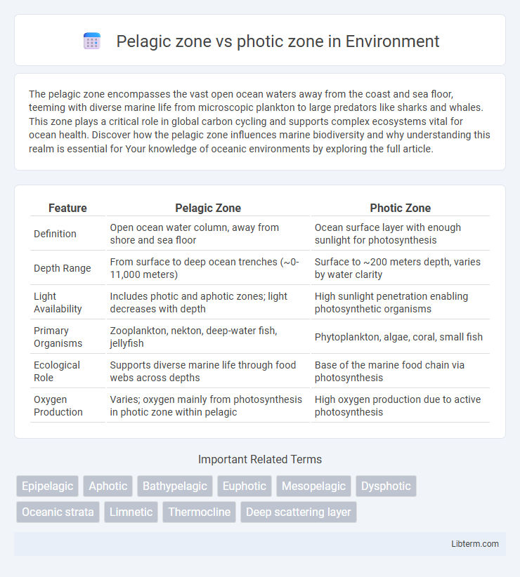 photic zone vs Pelagic zone in Environment - What is The Difference?