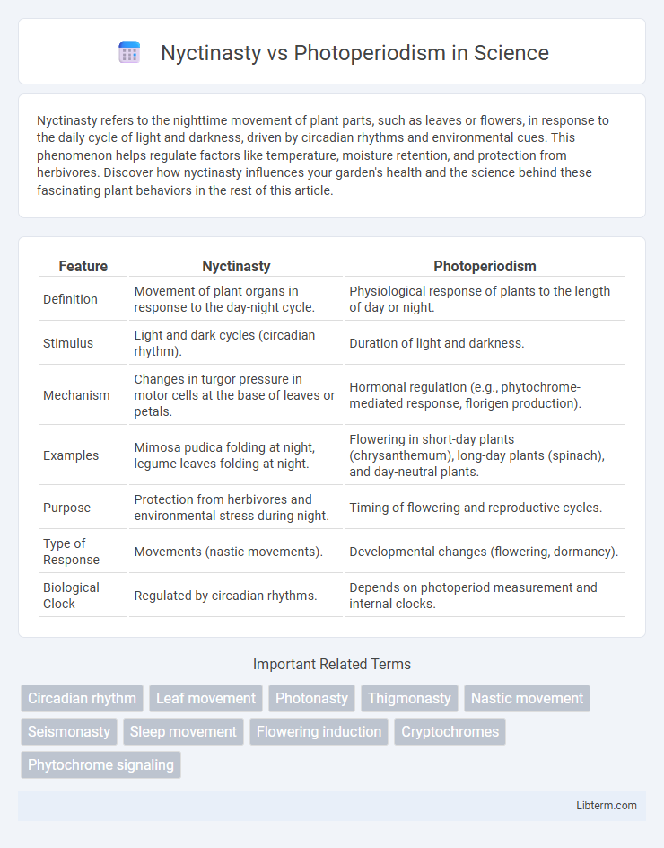Photoperiodism vs Nyctinasty in Science - What is The Difference?