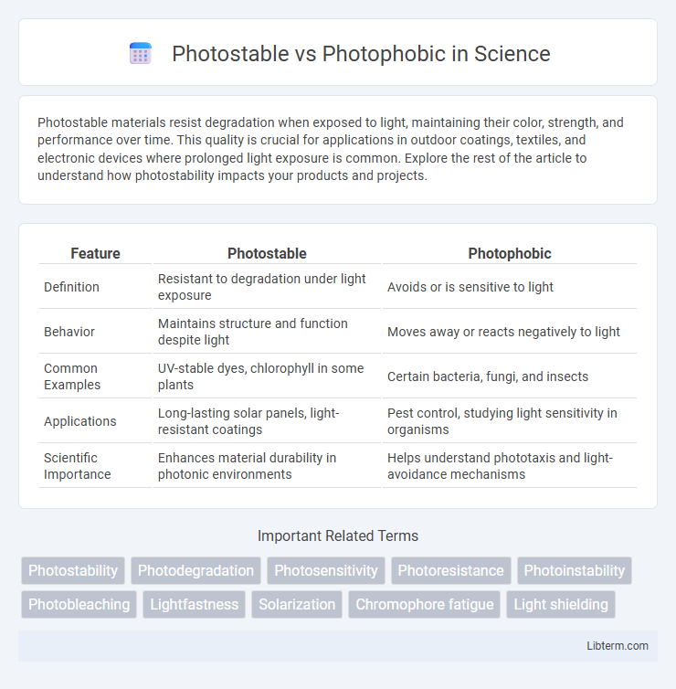 Photophobic vs Photostable in Science - What is The Difference?