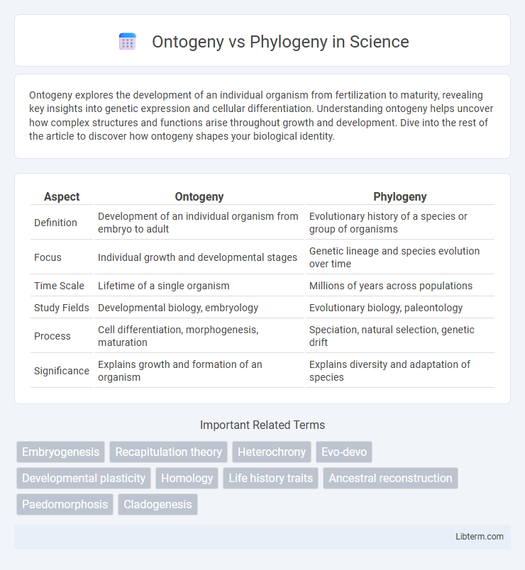 Phylogeny vs Ontogeny in Science - What is The Difference?