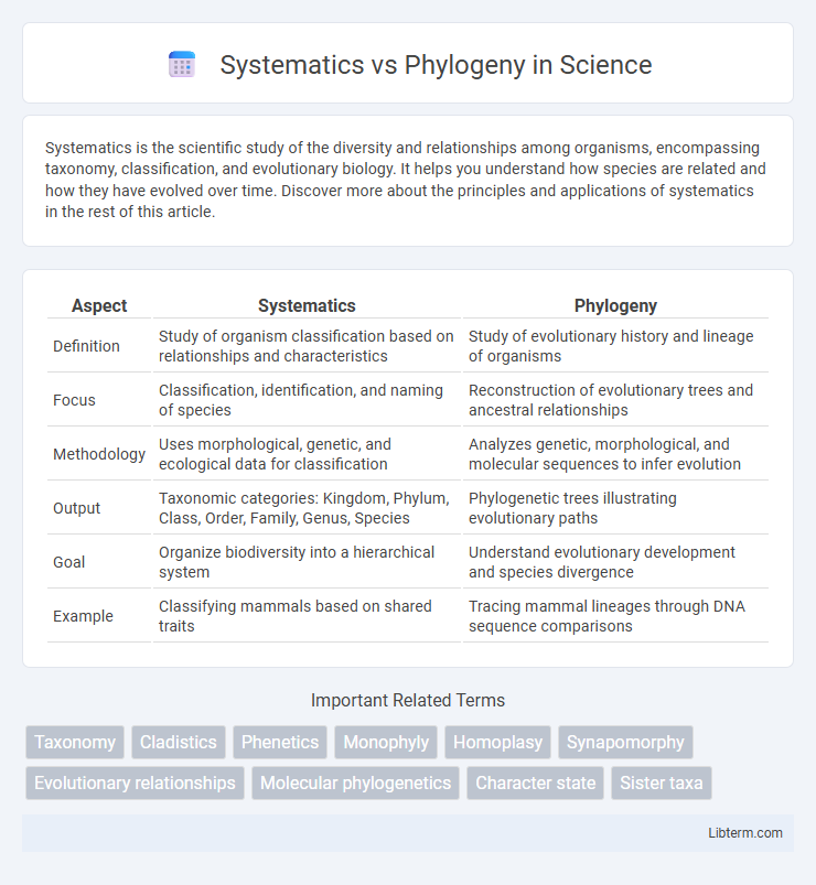 Phylogeny vs Systematics in Science - What is The Difference?
