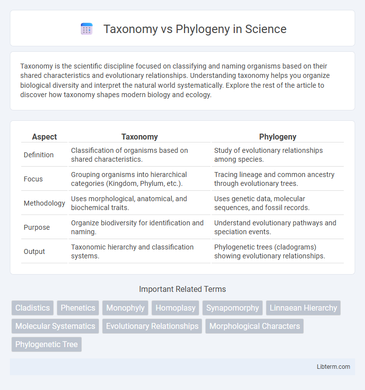 Phylogeny vs Taxonomy in Science - What is The Difference?