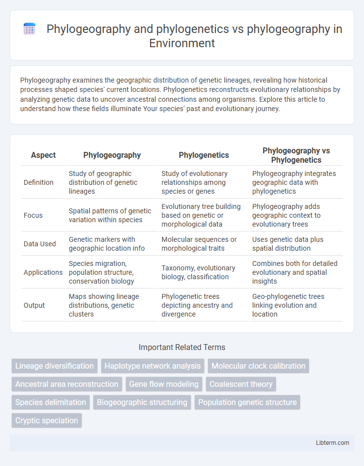 phylogeography vs Phylogeography and phylogenetics in Environment - What is The Difference?
