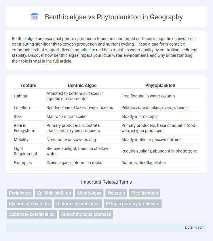 Phytoplankton vs Benthic algae in Geography - What is The Difference?