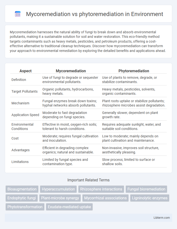 phytoremediation vs Mycoremediation in Environment - What is The Difference?
