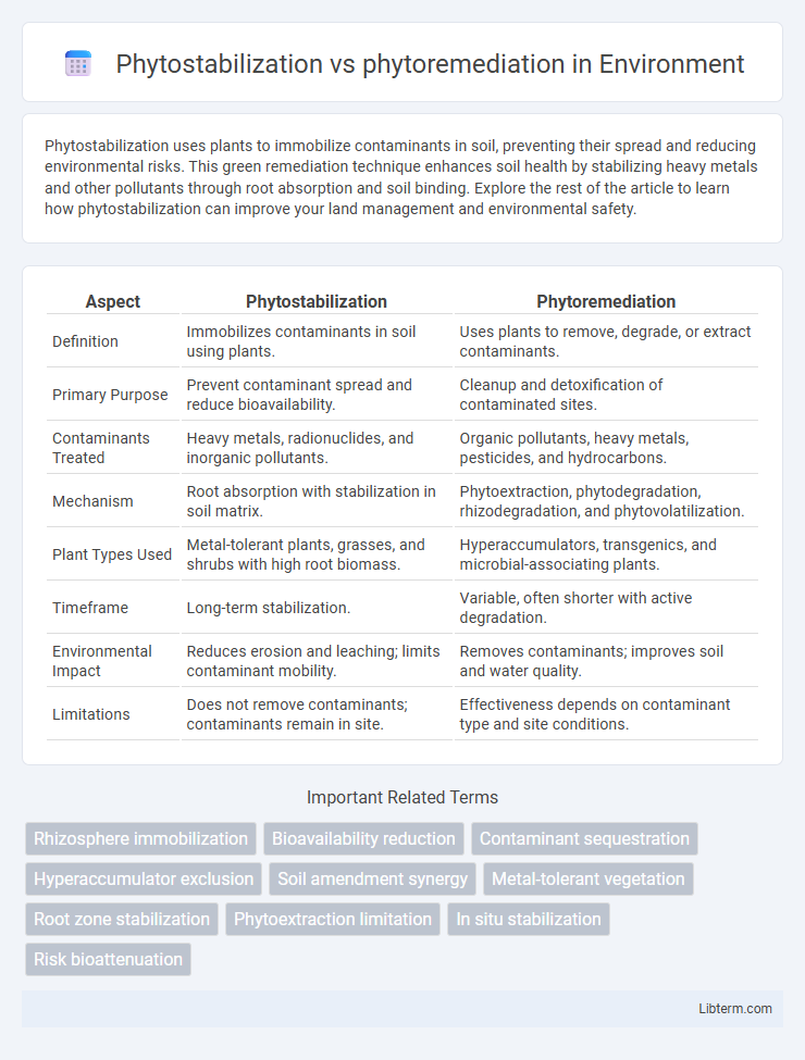 phytoremediation vs Phytostabilization in Environment - What is The Difference?