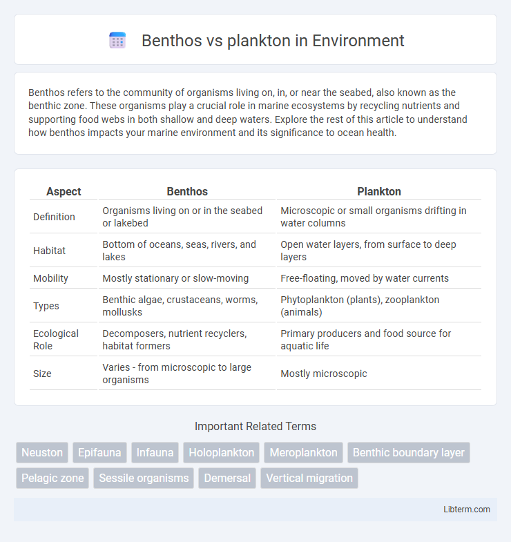 plankton vs Benthos in Environment - What is The Difference?