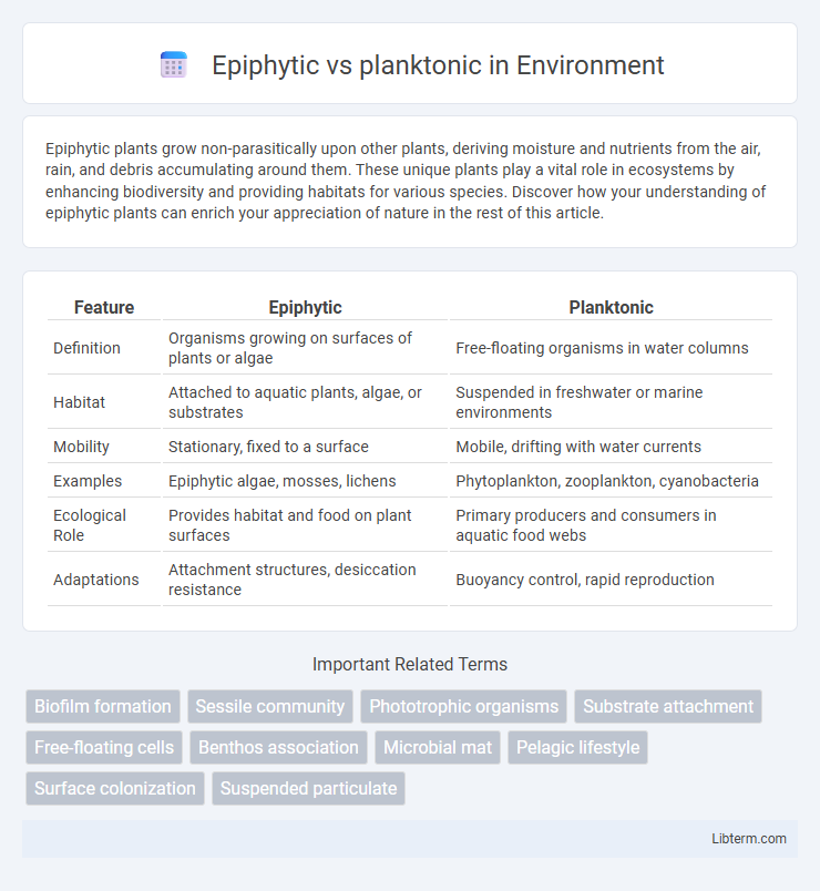 planktonic vs Epiphytic in Environment - What is The Difference?