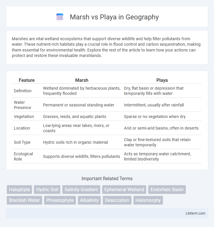 Playa vs Marsh in Geography - What is The Difference?
