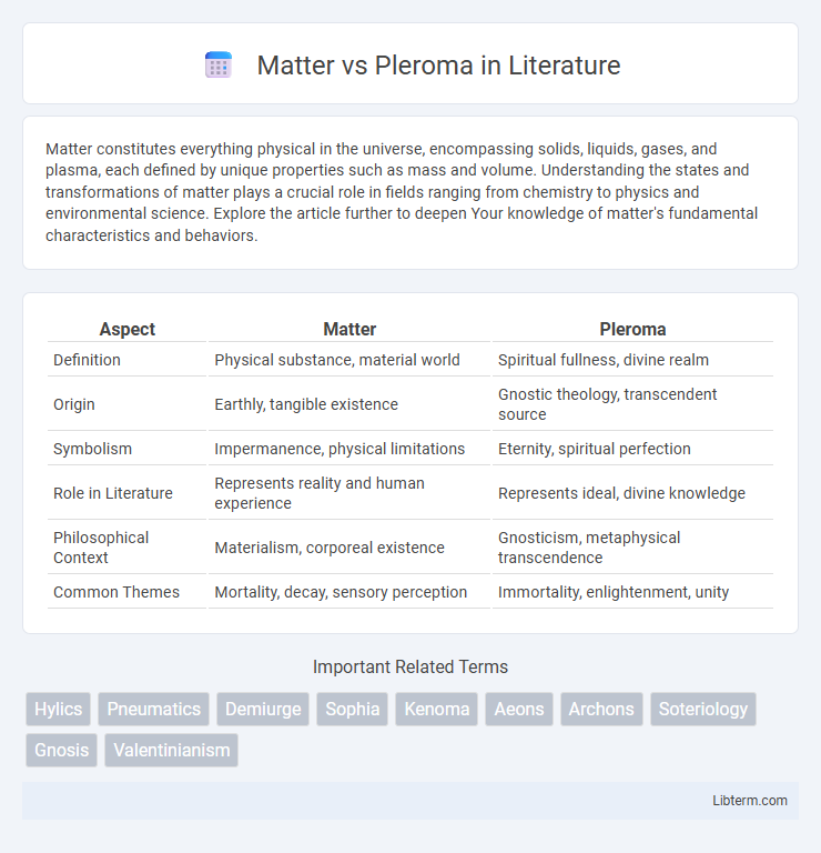 Pleroma vs Matter in Literature - What is The Difference?