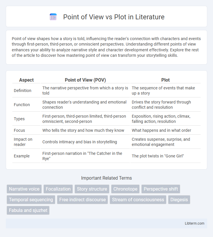Plot vs Point of View in Literature - What is The Difference?