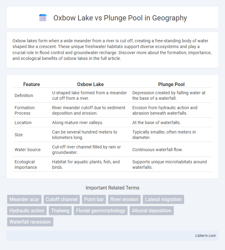 Plunge Pool vs Oxbow Lake in Geography - What is The Difference?