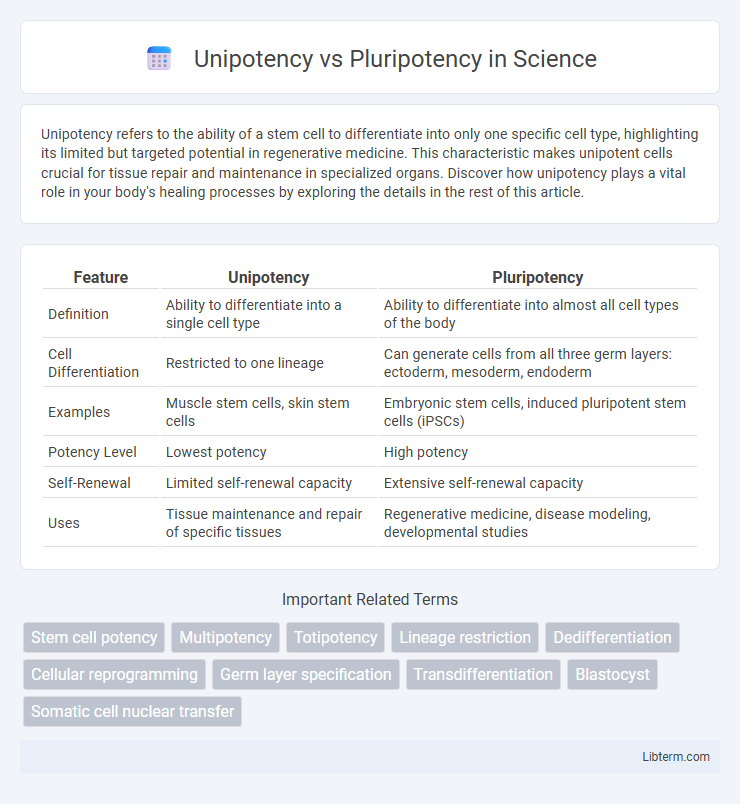 Pluripotency vs Unipotency in Science - What is The Difference?