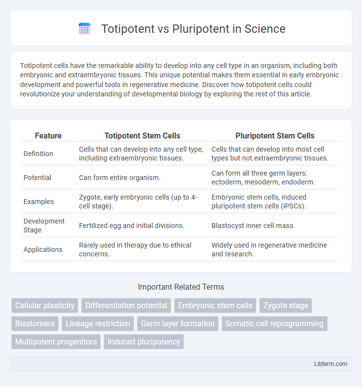 Pluripotent vs Totipotent in Science - What is The Difference?