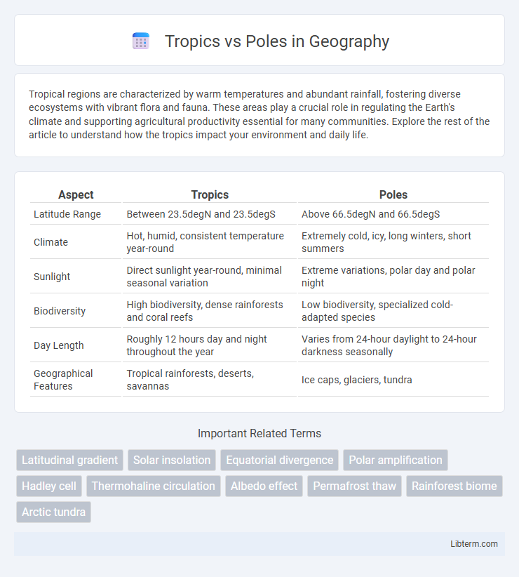 Poles vs Tropics in Geography - What is The Difference?
