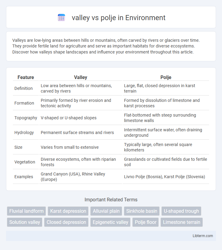 polje vs valley in Environment - What is The Difference?