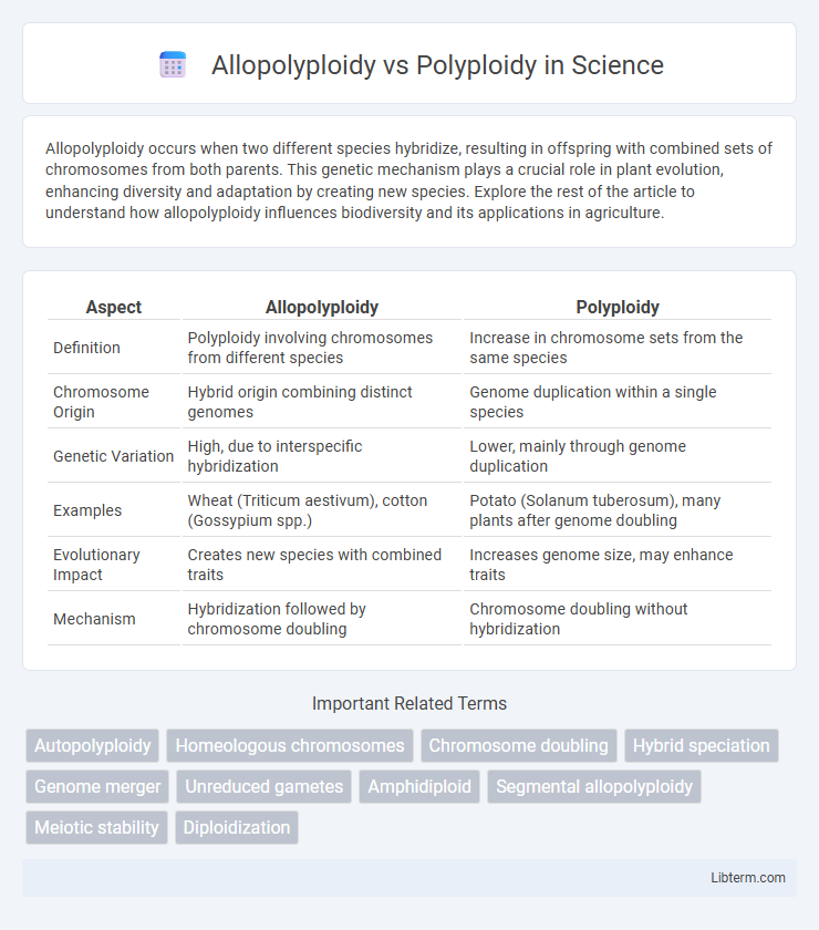 Polyploidy vs Allopolyploidy in Science - What is The Difference?