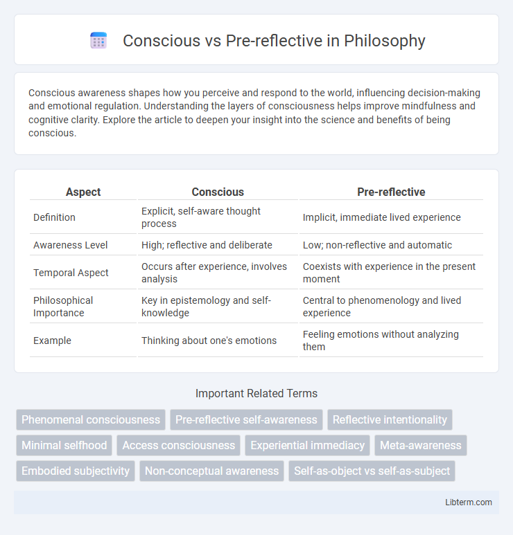 Pre-reflective vs Conscious in Philosophy - What is The Difference?