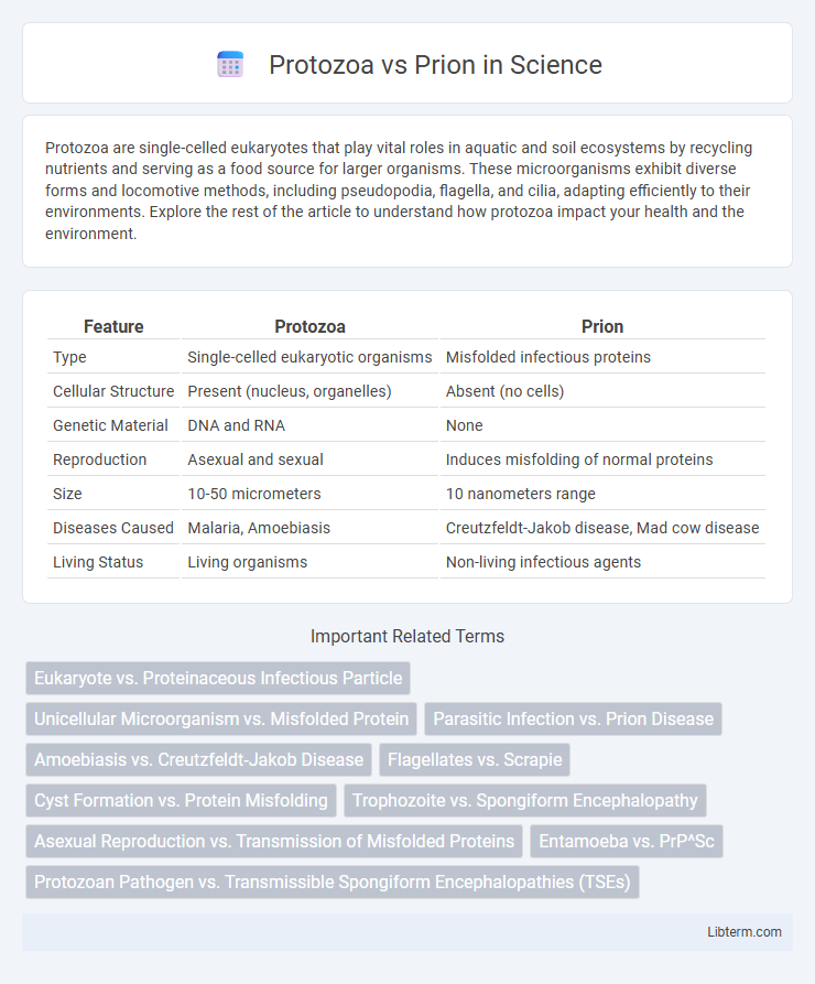 Prion vs Protozoa in Science - What is The Difference?