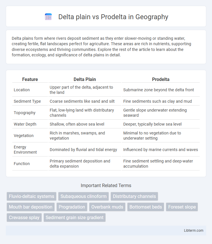 Prodelta vs Delta plain in Geography - What is The Difference?