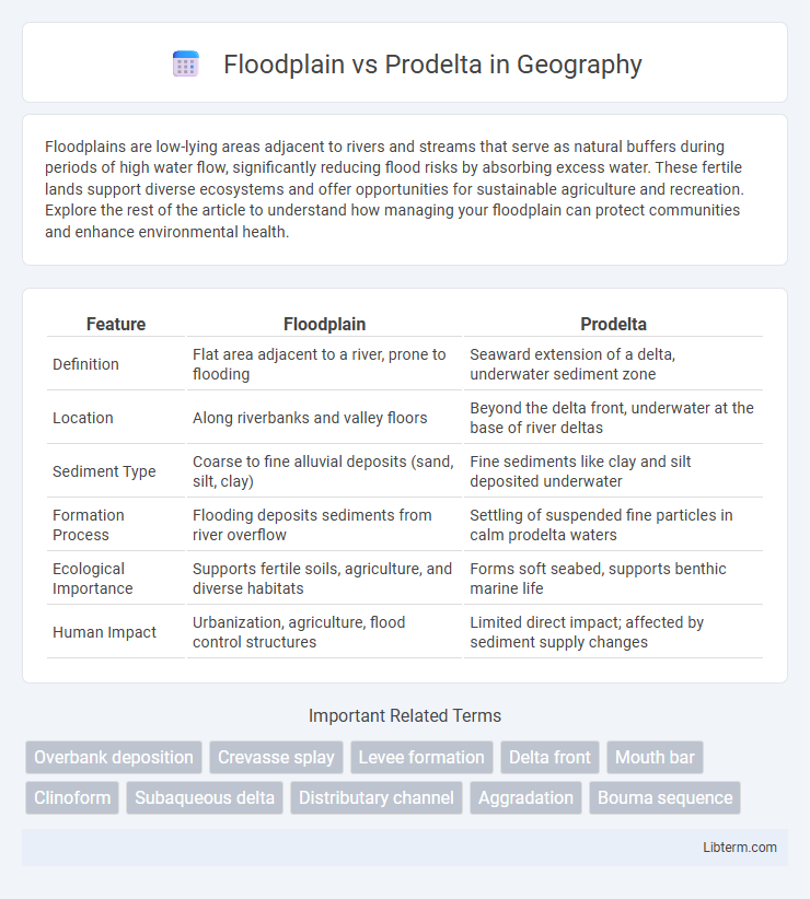 Prodelta vs Floodplain in Geography - What is The Difference?