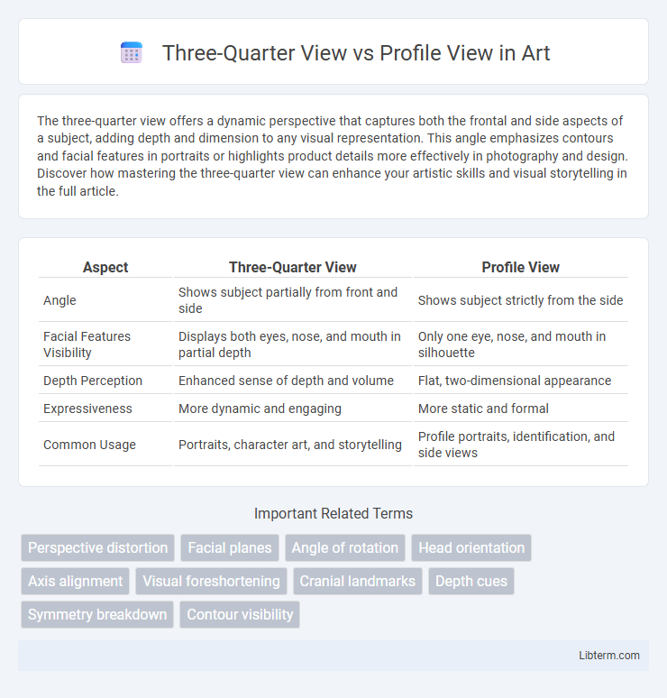 Profile View vs Three-Quarter View in Art - What is The Difference?