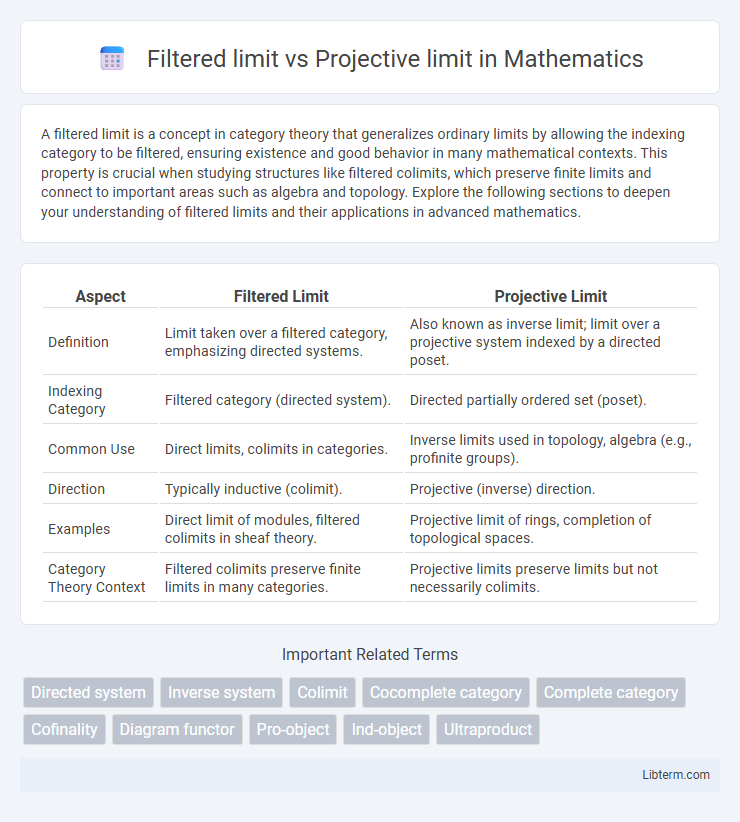 Projective limit vs Filtered limit in Mathematics - What is The Difference?