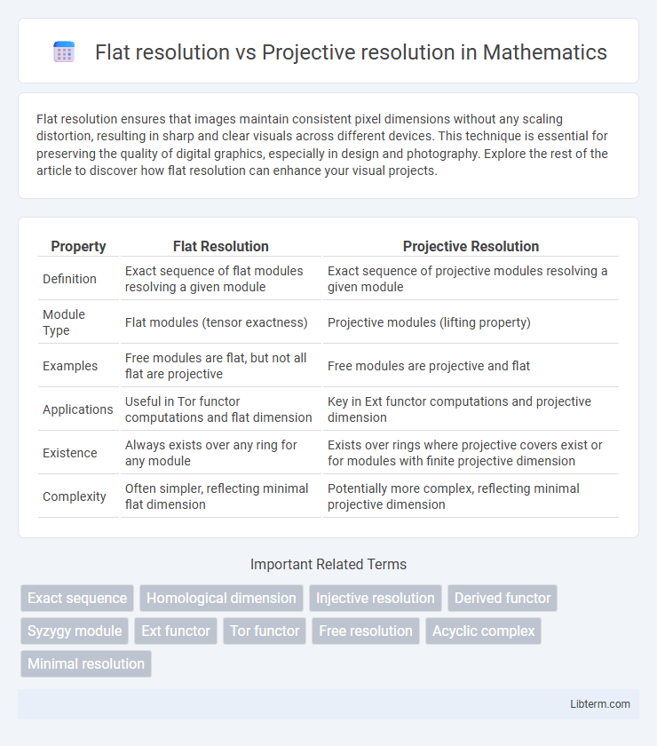 Projective resolution vs Flat resolution in Mathematics - What is The Difference?