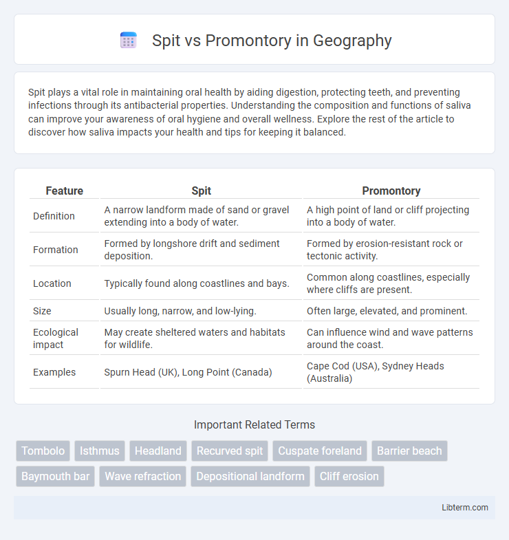 Promontory vs Spit in Geography - What is The Difference?